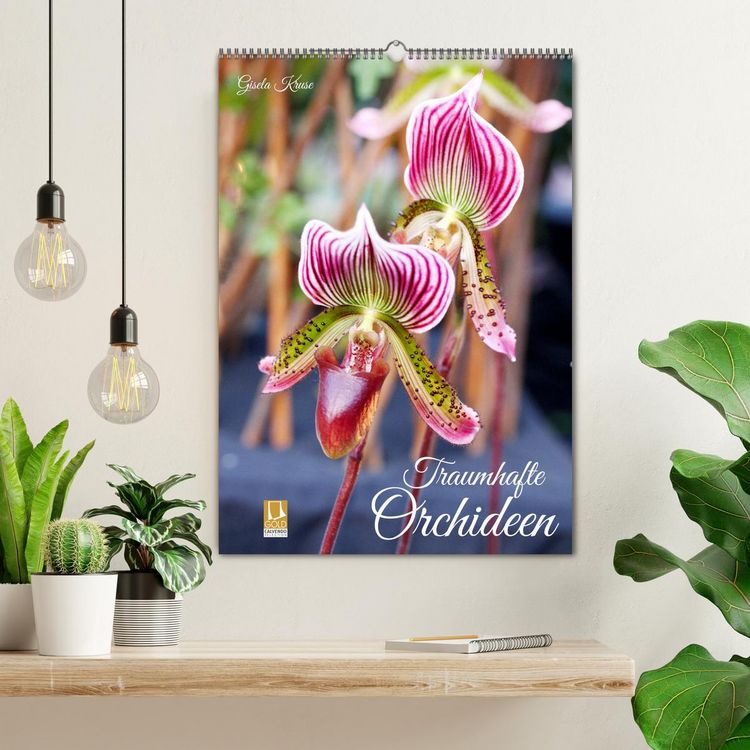 Produktbild: Traumhafte Orchideen (Wandkalender 2026 DIN A2 hoch), CALVENDO Monatskalender
