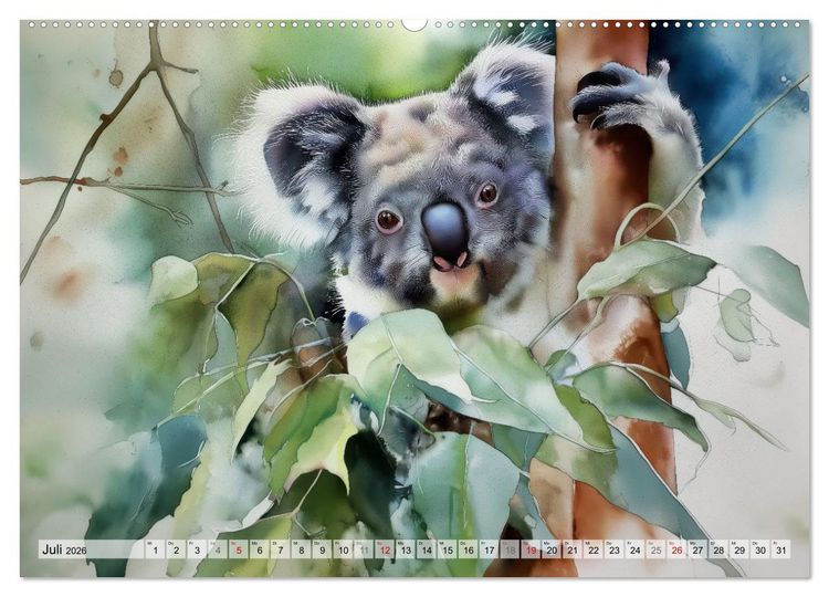 Produktbild: Koalas, liebenswerte kleine Schlafm&uuml;tzen (hochwertiger Premium Wandkalender 2026 DIN A2 quer), Kunstdruck in Hochglanz