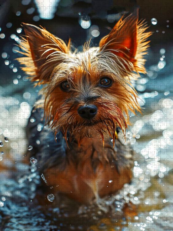 Produktbild: CALVENDO Puzzle Das Wasser ist aber noch kalt | 1000 Teile Lege-Gr&ouml;&szlig;e 64x48cm Foto-Puzzle f&uuml;r gl&uuml;ckliche Stunden