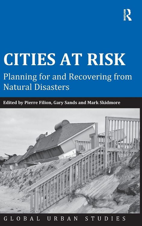 Produktbild: Cities at Risk