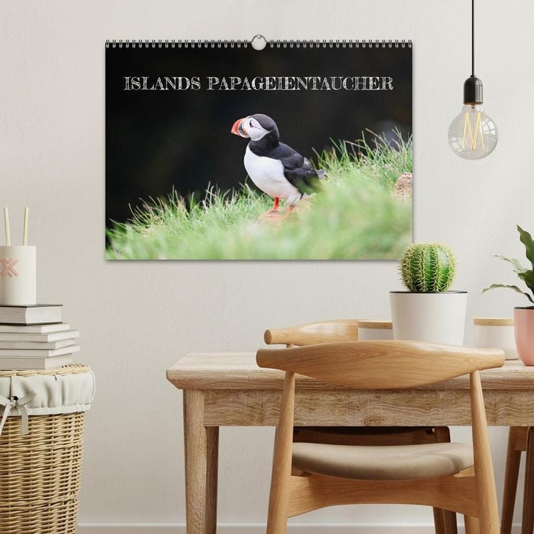 Produktbild: Islands Papageientaucher (Wandkalender 2026 DIN A3 quer), CALVENDO Monatskalender