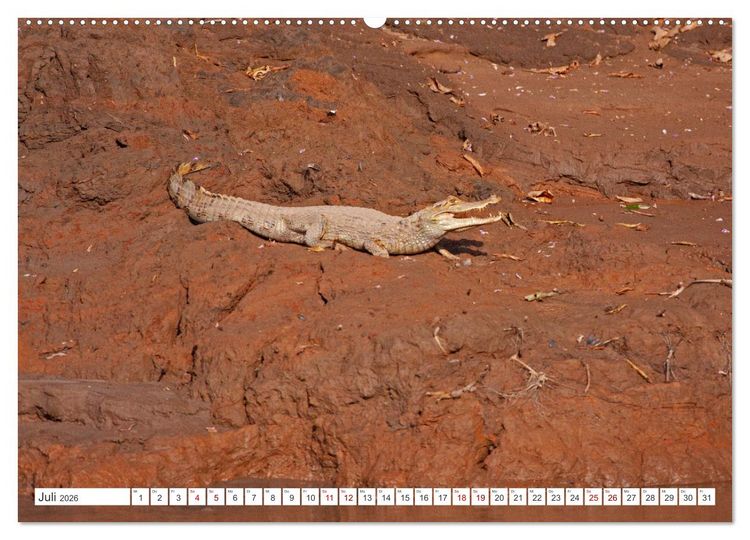Produktbild: Vielf&auml;ltiges Peru (Wandkalender 2026 DIN A2 quer), CALVENDO Monatskalender