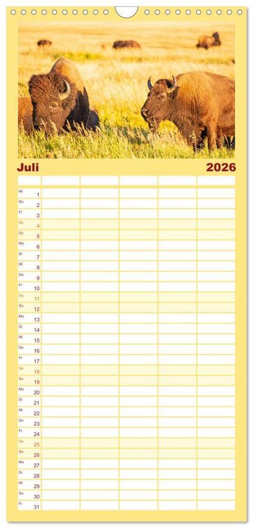 Produktbild: Familienplaner 2026 - USA - National und State Parks im Nordwesten mit 5 Spalten (Wandkalender, 21 x 45 cm) CALVENDO