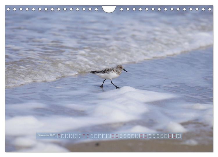 Produktbild: Sylt - Wasser, Wind und Wellen (Wandkalender 2026 DIN A4 quer), CALVENDO Monatskalender