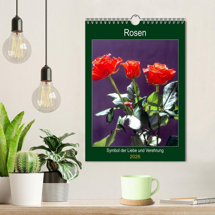 Produktbild: Rosen - Symbol der Liebe und Verehrung (Wandkalender 2026 DIN A4 hoch), CALVENDO Monatskalender