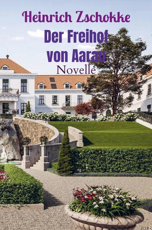 Produktbild: Der Freihof von Aarau