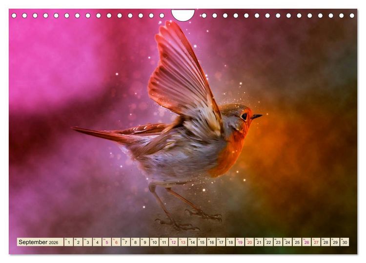 Produktbild: Bei uns im Garten - Rotkehlchen (Wandkalender 2026 DIN A4 quer), CALVENDO Monatskalender