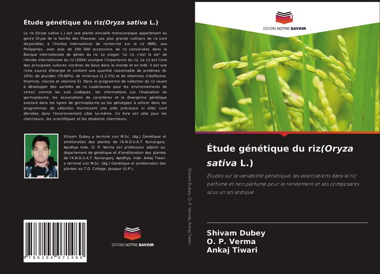 Produktbild: &Eacute;tude g&eacute;n&eacute;tique du riz(Oryza sativa L.)