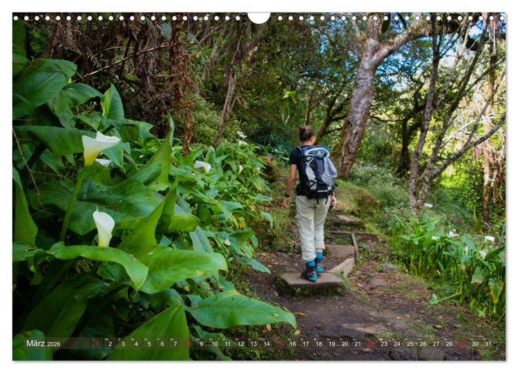 Produktbild: La R&eacute;union - Impressionen von Rolf Dietz (Wandkalender 2026 DIN A3 quer), CALVENDO Monatskalender