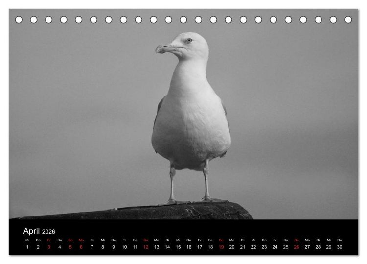 Produktbild: Willkommen in Cuxhaven (Tischkalender 2026 DIN A5 quer), CALVENDO Monatskalender