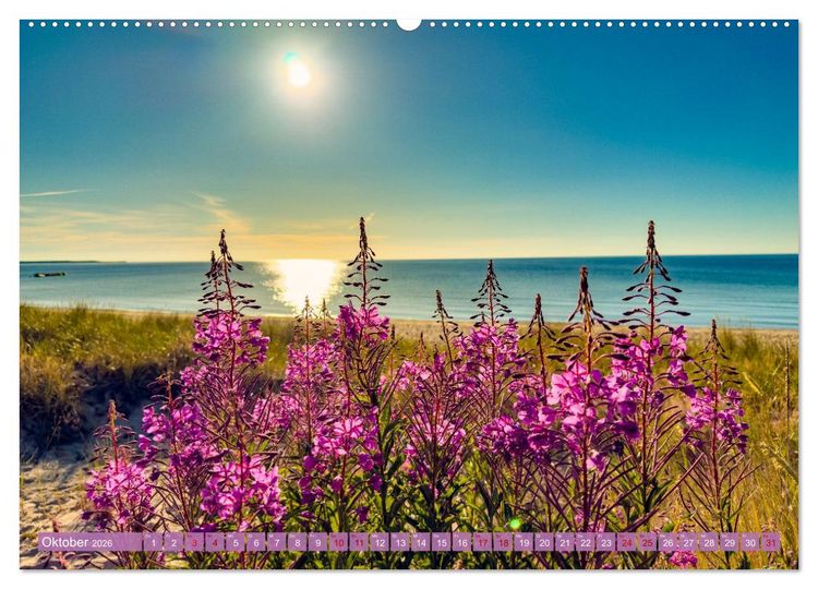 Produktbild: SCHWEDEN wild-romantisch (Wandkalender 2026 DIN A2 quer), CALVENDO Monatskalender