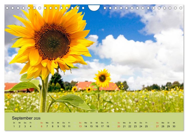 Produktbild: Nordsee - Traum (Wandkalender 2026 DIN A4 quer), CALVENDO Monatskalender