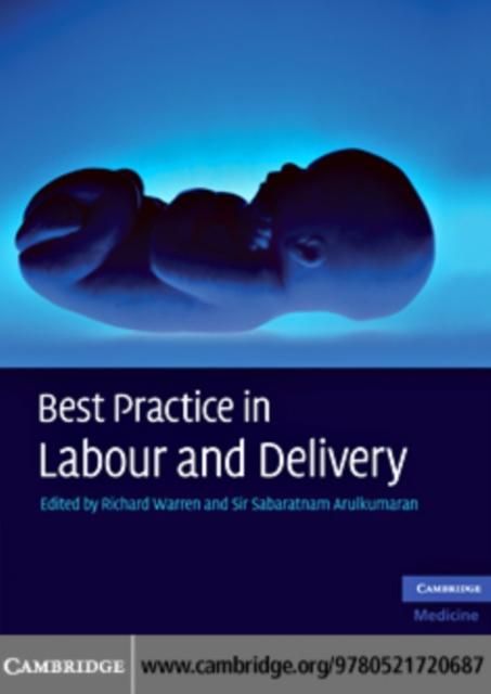 Produktbild: Best Practice in Labour and Delivery