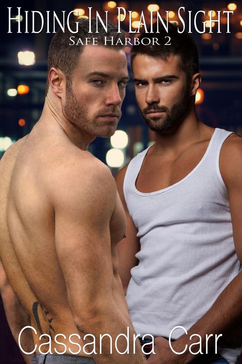 Produktbild: Hiding In Plain Sight (Safe Harbor, #2)