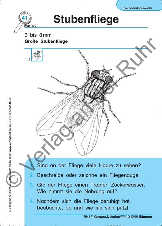 Produktbild: Tiere in Kompost, Boden und morschen B&auml;umen