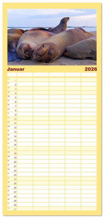 Produktbild: Familienplaner 2026 - Entdecke Galapagos mit 5 Spalten (Wandkalender, 21 x 45 cm) CALVENDO