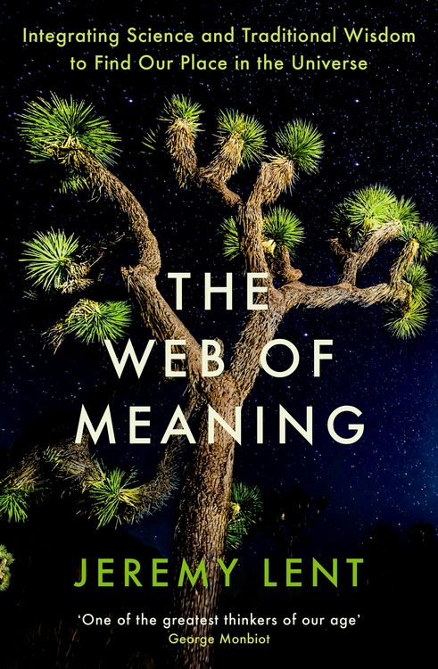 Produktbild: The Web of Meaning