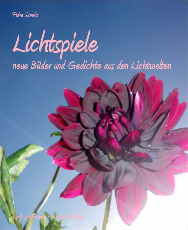 Produktbild: Lichtspiele