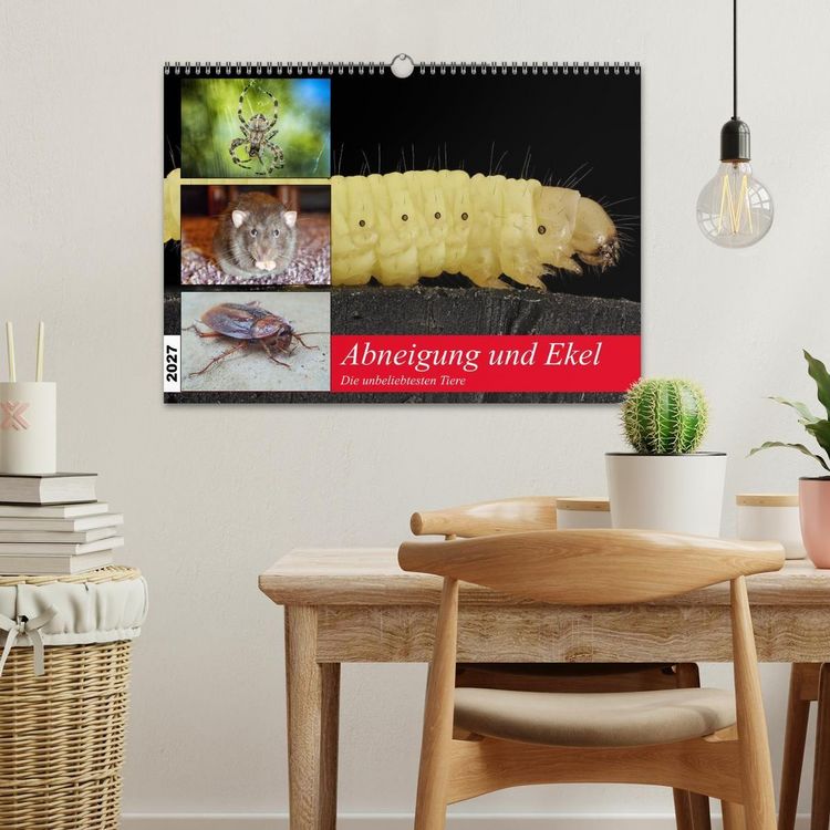 Produktbild: Abneigung und Ekel. Die unbeliebtesten Tiere (Wandkalender 2027 DIN A3 quer), CALVENDO Monatskalender