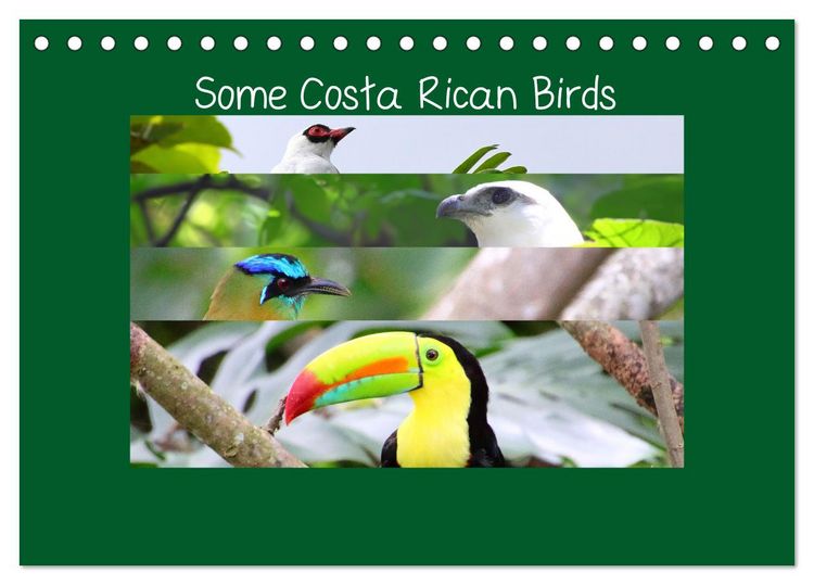 Produktbild: Some Costa Rican Birds (Desk Calendar 2026 DIN A5 landscape), CALVENDO 12 Month DeskCalendar