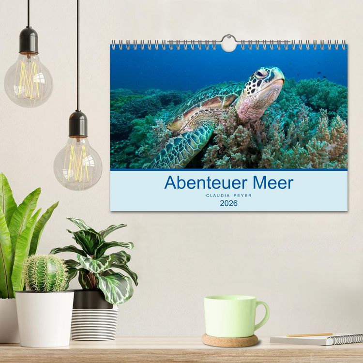 Produktbild: Abenteuer Unterwasser (Wandkalender 2026 DIN A4 quer), CALVENDO Monatskalender