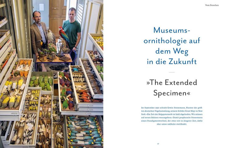 Produktbild: Vogelwelten