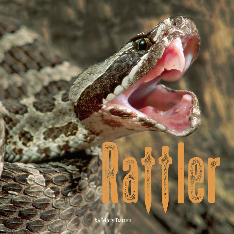 Produktbild: Rattler