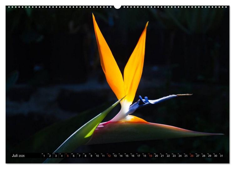 Produktbild: Hawai'i - Teil 2 (Wandkalender 2026 DIN A2 quer), CALVENDO Monatskalender