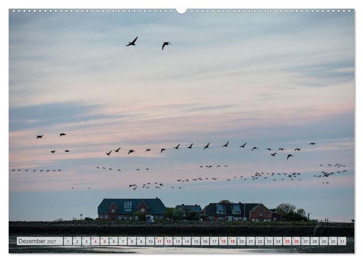 Produktbild: Wundersch&ouml;ne Hallig Hooge (Wandkalender 2027 DIN A2 quer), CALVENDO Monatskalender