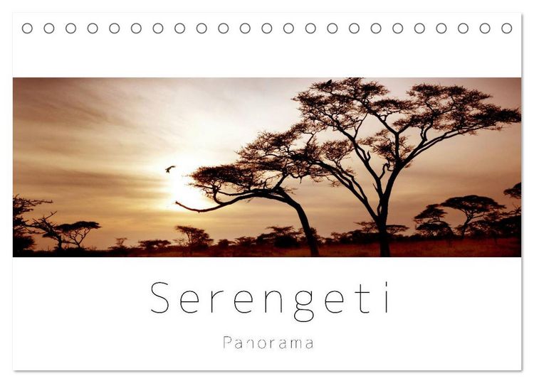 Produktbild: Serengeti Panorama (Tischkalender 2026 DIN A5 quer), CALVENDO Monatskalender