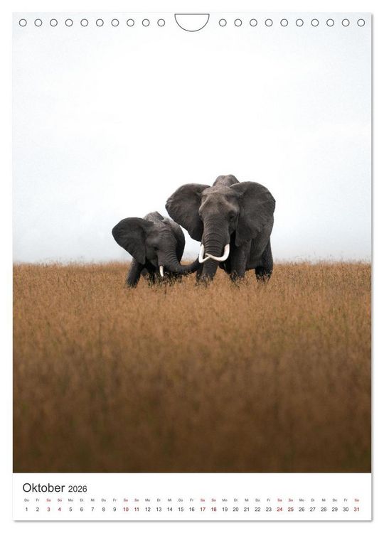 Produktbild: Elefanten - Die Herzeroberer der Tierwelt. (Wandkalender 2026 DIN A4 hoch), CALVENDO Monatskalender