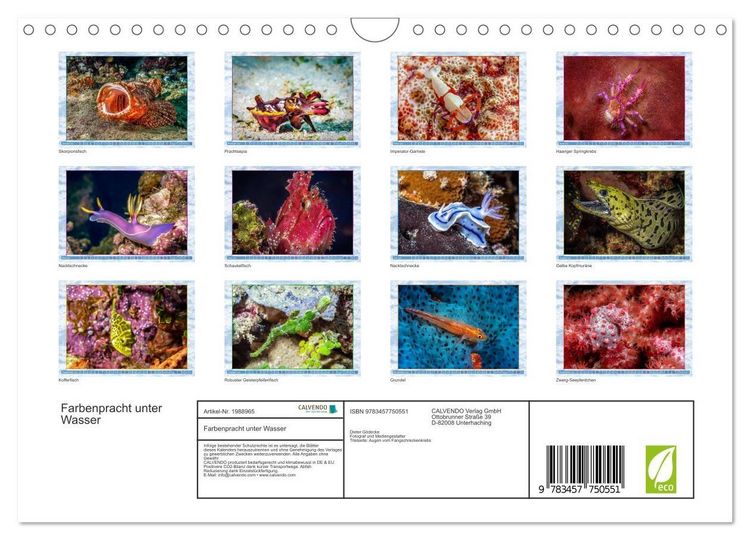 Produktbild: Farbenpracht unter Wasser (Wandkalender 2026 DIN A4 quer), CALVENDO Monatskalender