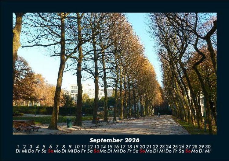 Produktbild: B&auml;ume 2026 Fotokalender DIN A5