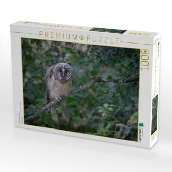 Produktbild: CALVENDO Puzzle Waldohreule, &Auml;stling | 1000 Teile Lege-Gr&ouml;&szlig;e 64x48cm Foto-Puzzle f&uuml;r gl&uuml;ckliche Stunden