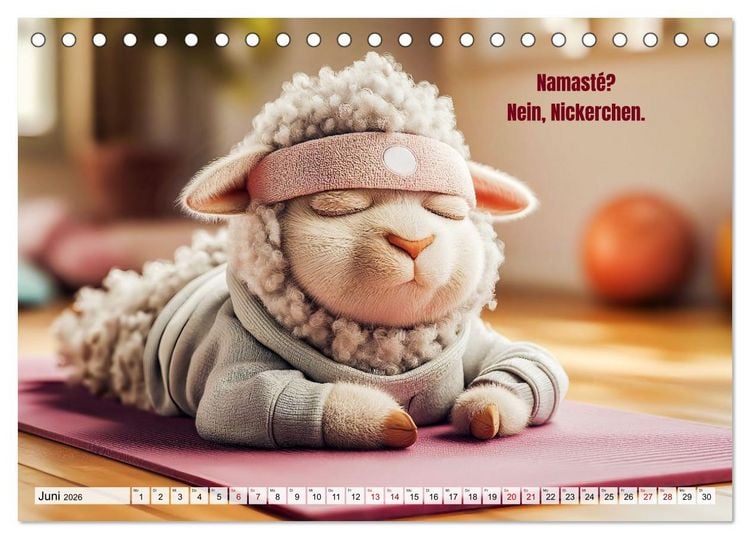 Produktbild: Schlaf gut, mein Schaf - Spruchkalender mit lustigen Schaf-Bildern (Tischkalender 2026 DIN A5 quer), CALVENDO Monatskalender