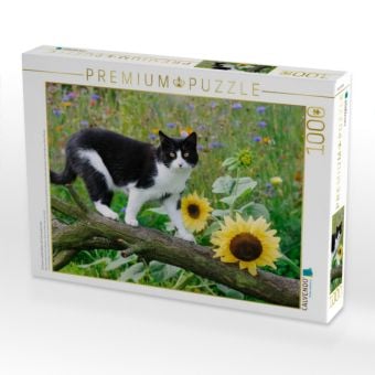 Produktbild: CALVENDO Puzzle Schwarz-wei&szlig;e Katze mit Sonnenblumen | 1000 Teile Lege-Gr&ouml;&szlig;e 64x48cm Foto-Puzzle f&uuml;r gl&uuml;ckliche Stunden
