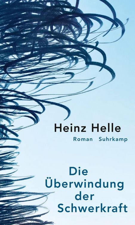 Produktbild: Die &Uuml;berwindung der Schwerkraft