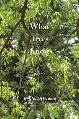 Produktbild: What Trees Know