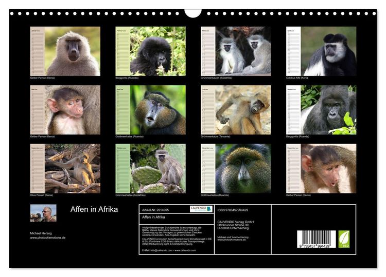 Produktbild: Affen in Afrika (Wandkalender 2026 DIN A3 quer), CALVENDO Monatskalender