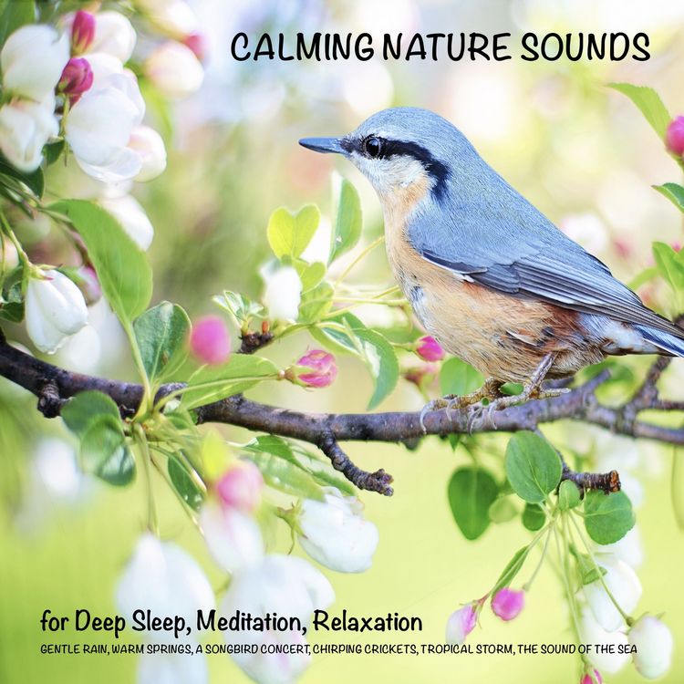 Produktbild: Calming Nature Sounds (without music) for Deep Sleep, Meditation, Relaxation