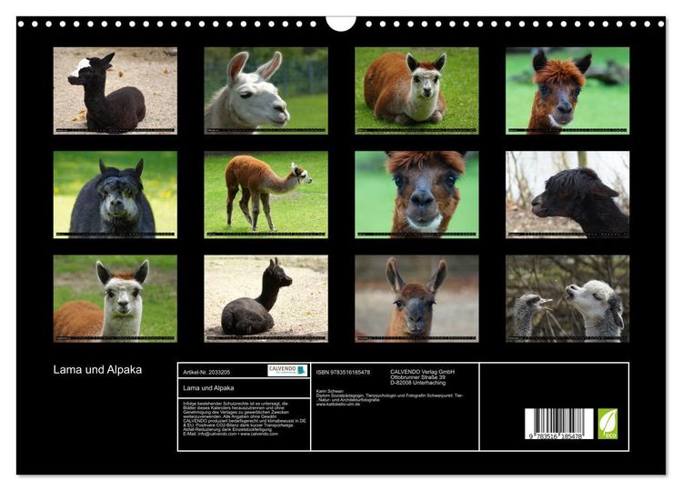 Produktbild: Lama und Alpaka (Wandkalender 2026 DIN A3 quer), CALVENDO Monatskalender