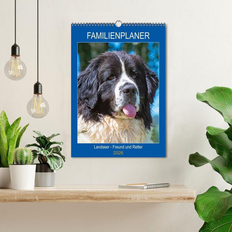 Produktbild: Familienplaner Landseer - Freund und Retter (Wandkalender 2026 DIN A3 hoch), CALVENDO Monatskalender