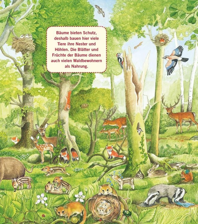 Produktbild: Unkaputtbar: Erstes Wissen: Im Wald