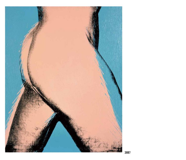 Produktbild: The Andy Warhol Catalogue Raisonn&eacute;, Paintings 1976-1978