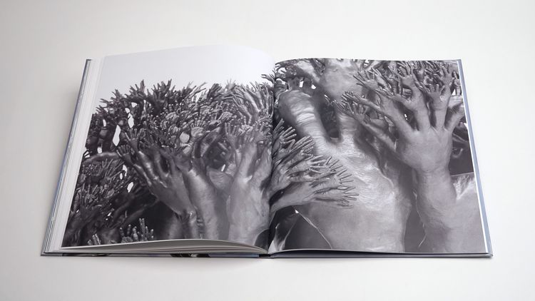 Produktbild: Tony Cragg: Points of View