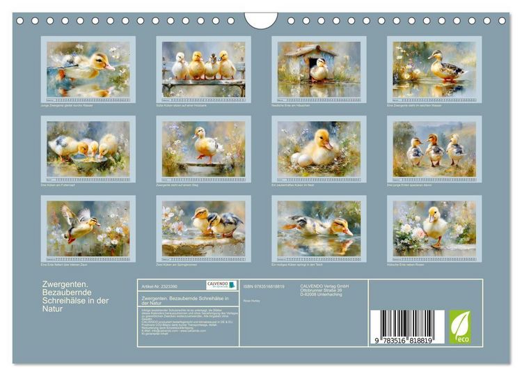Produktbild: Zwergenten. Bezaubernde Schreih&auml;lse in der Natur (Wandkalender 2027 DIN A4 quer), CALVENDO Monatskalender