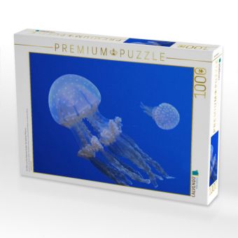 Produktbild: CALVENDO Puzzle Ein Motiv aus dem Kalender Quallen. Die Welt der Medusen | 1000 Teile Lege-Gr&ouml;&szlig;e 64x48cm Foto-Puzzle f&uuml;r gl&uuml;ckliche Stunden