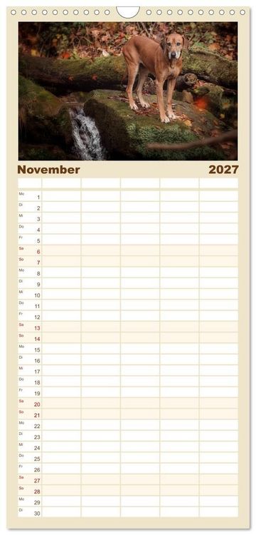 Produktbild: Familienplaner 2027 - Rhodesian Ridgeback - Herzen auf vier Pfoten mit 5 Spalten (Wandkalender, 21 x 45 cm) CALVENDO