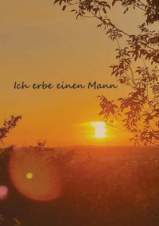 Produktbild: Ich erbe einen Mann