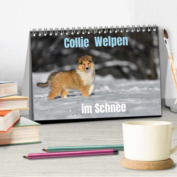 Produktbild: Collie Welpen im Schnee (Tischkalender 2026 DIN A5 quer), CALVENDO Monatskalender